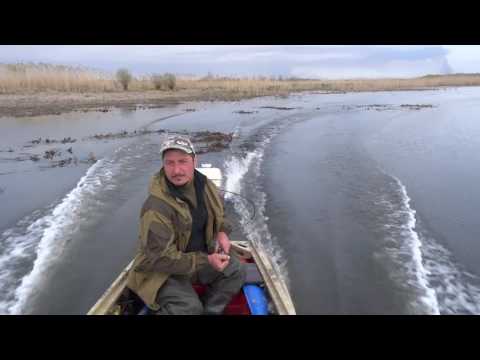 Видео: Видео  болотоход на ходовых испытаниях