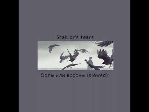 Видео: Орлы или вороны (slowed)-Фадеев; Лепс