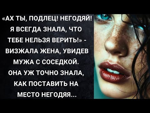 Видео: «Ах ты, подлец! Негодяй! Я всегда знала, что тебе нельзя верить!»   визжала жена, увидев мужа