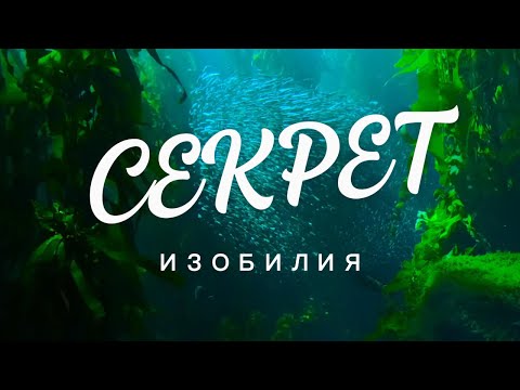 Видео: Секрет Изобилия