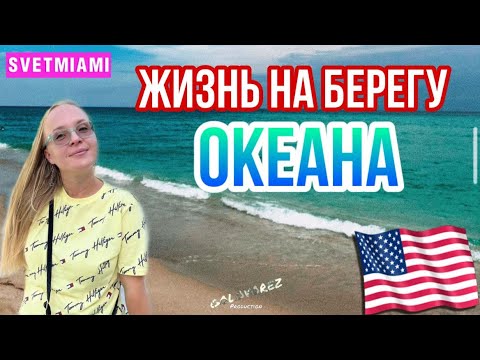 Видео: Жизнь на берегу океана в Америке/Водоросли в майями