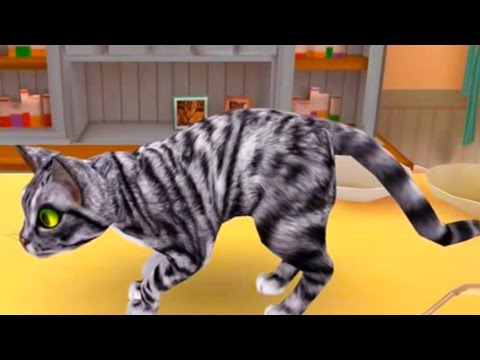 Видео: Мой приют для кошек #1 Играем в CatHotel #ПУРУМЧАТА