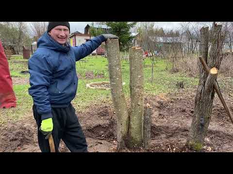 Видео: Б А Н Я. Начало стройки.