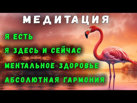 Видео: АБСОЛЮТНАЯ ГАРМОНИЯ | МЕДИТАЦИЯ | Я ЕСТЬ | Я ЗДЕСЬ И СЕЙЧАС | МЕНТАЛЬНОЕ ЗДОРОВЬЕ