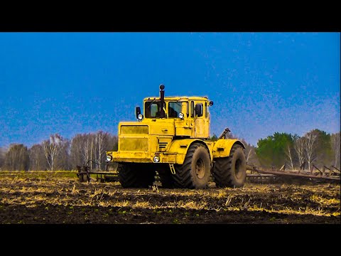 Видео: МТЗ 82.1 и Кировец К-701 с лущильником ЛДГ-15.  5 минут работы