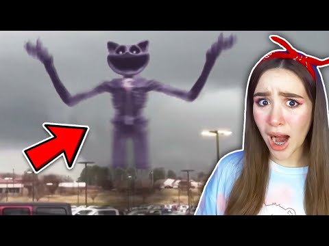 Видео: Я НАШЛА КЭТНЭП В РЕАЛЬНОЙ ЖИЗНИ! 😱 POPPY PLAYTIME 3 ГЛАВА