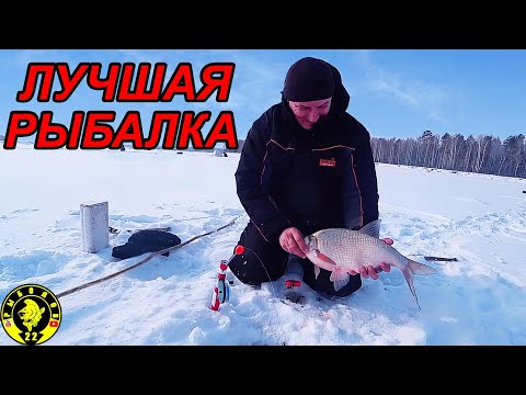 Видео: ВЕСЕННИЙ ЖОР ЛЕЩА. РЫБАЛКА НА КОМБАЙНЫ.