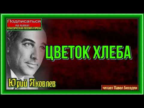 Видео: Цветок хлеба, Юрий Яковлев, читает Павел Беседин