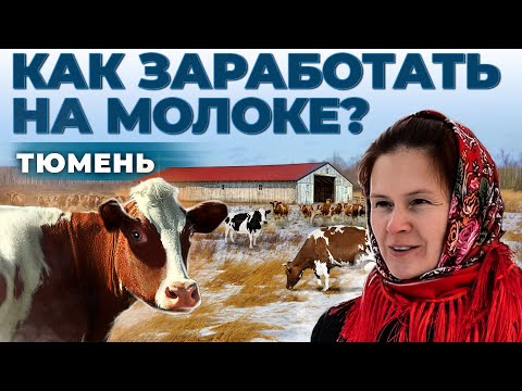 Видео: Доходность молочной фермы | Как построить бизнес с нуля в селе | Андрей Даниленко