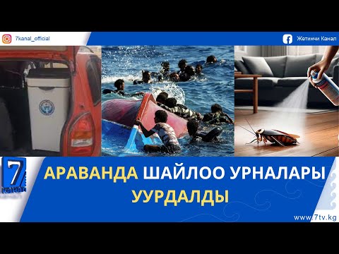 Видео: ТАРАКАНДАРДЫ ӨЛТҮРӨМ ДЕП 5 КАБАТ ҮЙДҮ ӨРТТӨГӨН