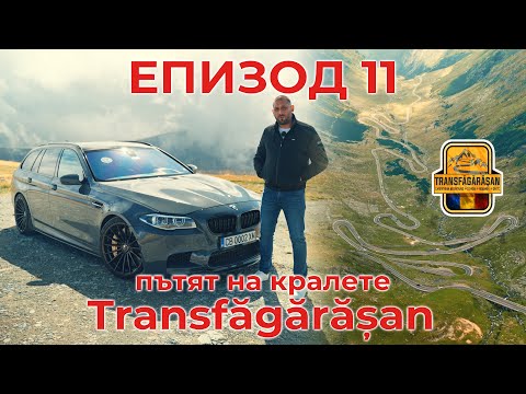 Видео: Shondys Garage - EP11 - Пътят на Кралете