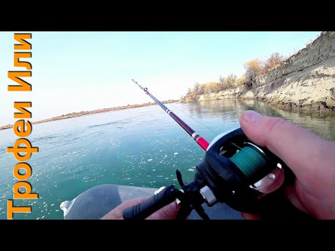 Видео: ЧЕСТНАЯ РЫБАЛКА НА РЕКЕ ИЛИ//В ПОИСКЕ ЖЕРЕХА//СПЛАВОМ ОТ ИВАНА ДО МИЯЛОВ.#рыбалка #жерех 