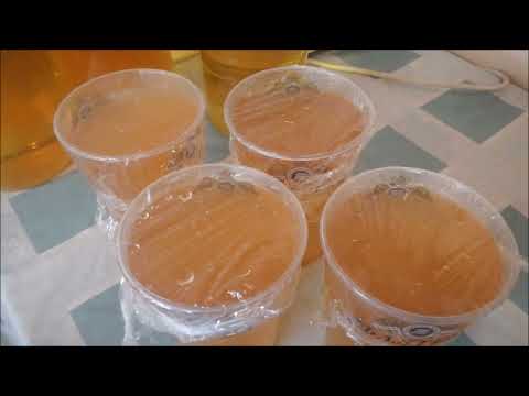 Видео: винный гриб, домашнее вино, осветление, ч.2