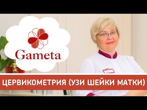 Видео: Цервикометрия при беременности. Как делают УЗИ шейки матки и придатков. Исследование шейки матки