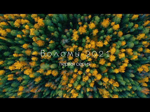Видео: И снова Воломы. 2021. Первая серия.