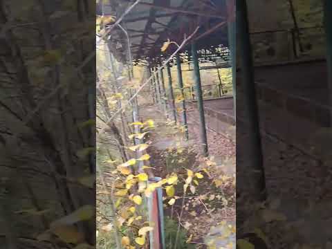 Видео: #old #детство #машинки #2023 #старое #память