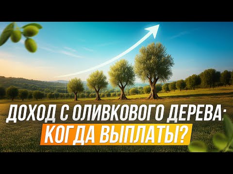 Видео: Как происходят выплаты инвесторам и кто защищает ваши деньги?