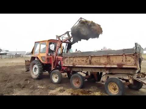 Видео: Погрузка навоза трактором Т 25