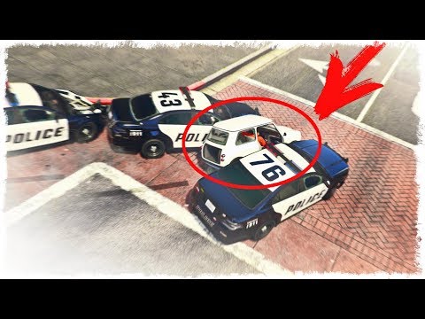 Видео: МЫШКА ТРОЛЛИТ КОШЕК В GTA ONLINE!!!