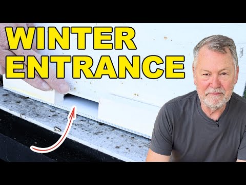 Видео: Пчеловодство: простой способ установки нижней доски на зиму