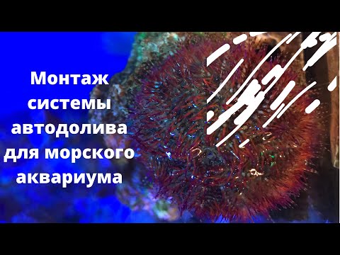 Видео: Часть 5 Монтаж системы автодолива воды в морском аквариуме