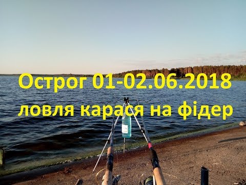 Видео: Рибалка на фідер. Нетішинське водосховище. м.Острог 01-02.06.2018