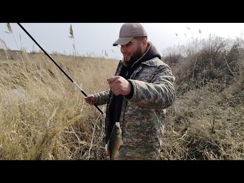 Видео: Ёввойи табиат куйнида балик ови.🐟Рыбалка на дикой природе..