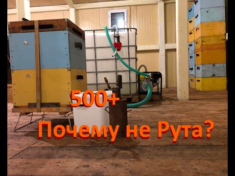 Видео: 500+ Про систему Рута, инвентарь и другое.