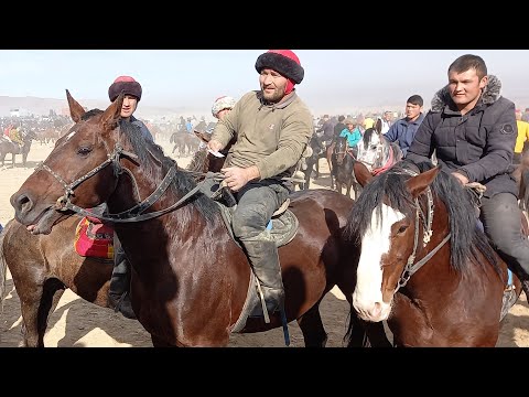 Видео: бози бузкаши дар истравшан дахияк рахимберди бо аспи хамер кисми 2