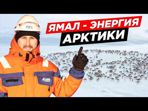 Видео: НОВОПОРТОВСКОЕ МЕСТОРОЖДЕНИЕ, КАК ГАЗ ЧЕРЕЗ ПОДВОДНЫЙ ГАЗОПРОВОД ПЕРЕДАЮТ. ГАЗПРОМНЕФТЬ ЯМАЛ.