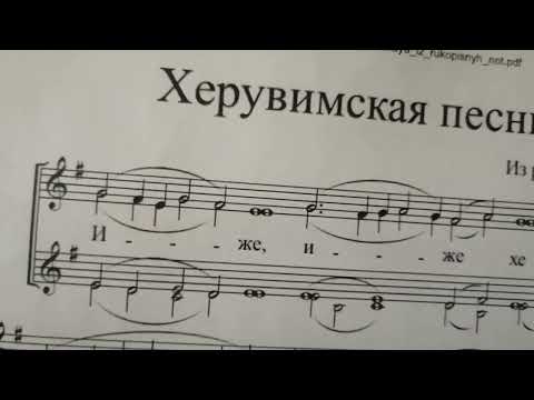 Видео: Для женского состава.Сопрано 1 и 2."Херувимская" Из рукописных нот. По просьбе подписчицы.