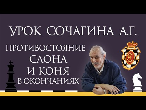 Видео: Видеоурок А.Г. Сочагина. Противостояние слона и коня в окончаниях