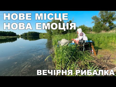 Видео: Коротка фідерна рибалка ввечері — що вдалося зловити? | Карась і підлящик на фідер