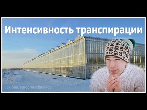 Видео: Транспирация и микроклимат