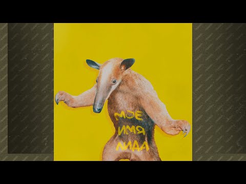 Видео: Lida - Ради бога (slowed, reverb, bassboosted)