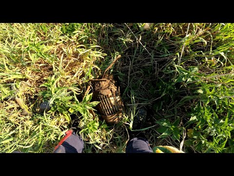 Видео: БОНУС! В самом начале копа.Тяжелый коп в жару. #shorts #metaldetecting #коп