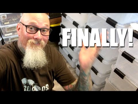 Видео: Я наконец-то нашел идеальный контейнер для изоподов