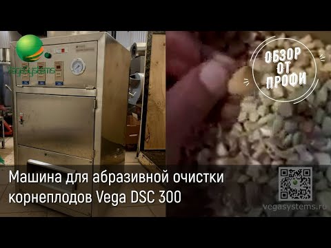 Видео: Машина для очистки зубчиков чеснока Vega Garlic Peeler 50 | Очистка от кожуры