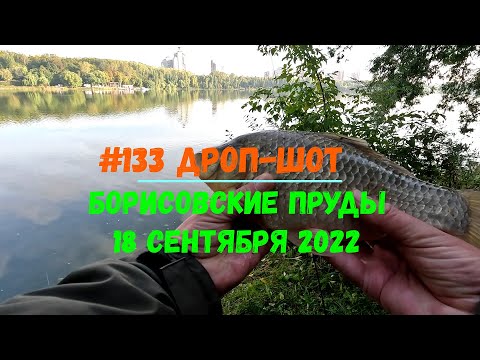 Видео: #133 Дроп-шот Борисовские пруды 18.09.2022