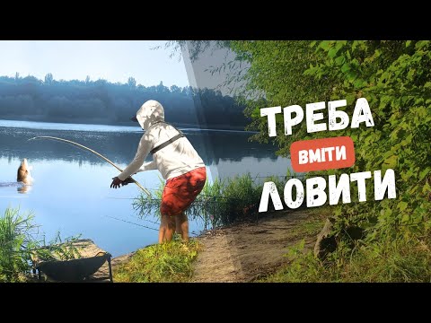 Видео: Рибалка на дикому озері: полювання на трофейного коропа. Кукурудза чи тигровий горіх?