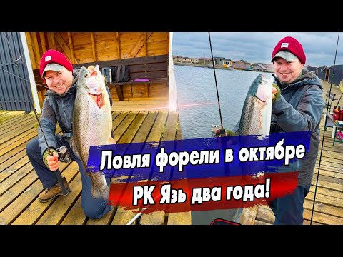Видео: Ловля вприглядку | Ловля форели на силикон в верхних слоях воды!