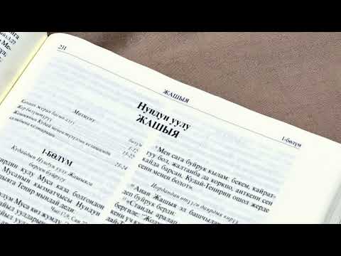 Видео: Нундун уулу Жашыя