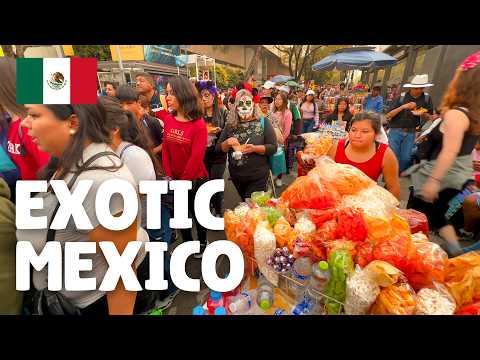 Видео: Не Могу Поверить, Что Это Мексика 🇲🇽