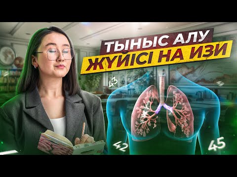 Видео: Тыныс алу жүйісі на изи | ҰБТ Биология