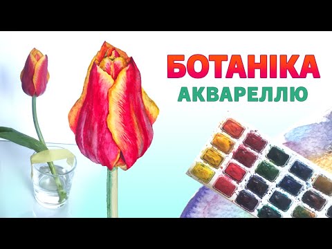 Видео: Тюльпан аквареллю!