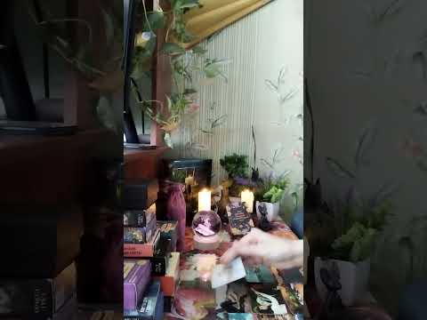 Видео: Завтрак) Он по ласке😘 скучает😥, ведь ты внимание ему не уделяешь 😔💔