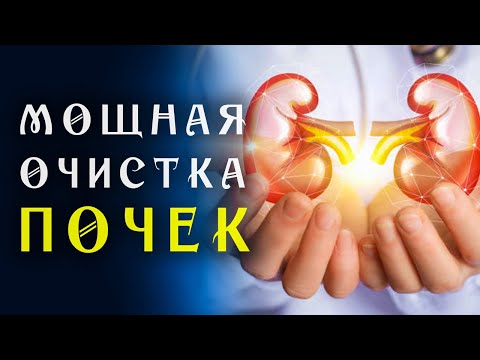 Видео: Очень редкая Матрица Гаряева для Очищения Почек ☀️ Квантовое исцеление звуком