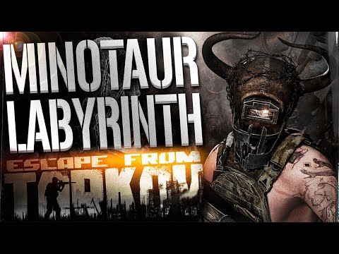 Видео: ЛАБИРИНТ МИНОТАВРА - МОМЕНТЫ WTF EFT 369 - Основные моменты Escape From Tarkov