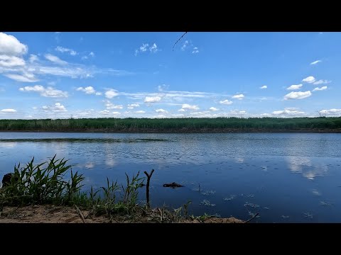 Видео: Приморский край. Рыбалка на озере. Карась.