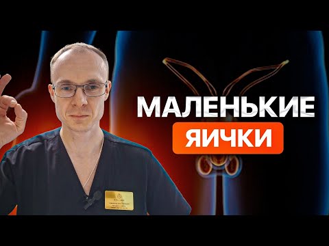 Видео: Маленькие яички. Почему яички маленькие? Врач уролог-андролог. Москва.
